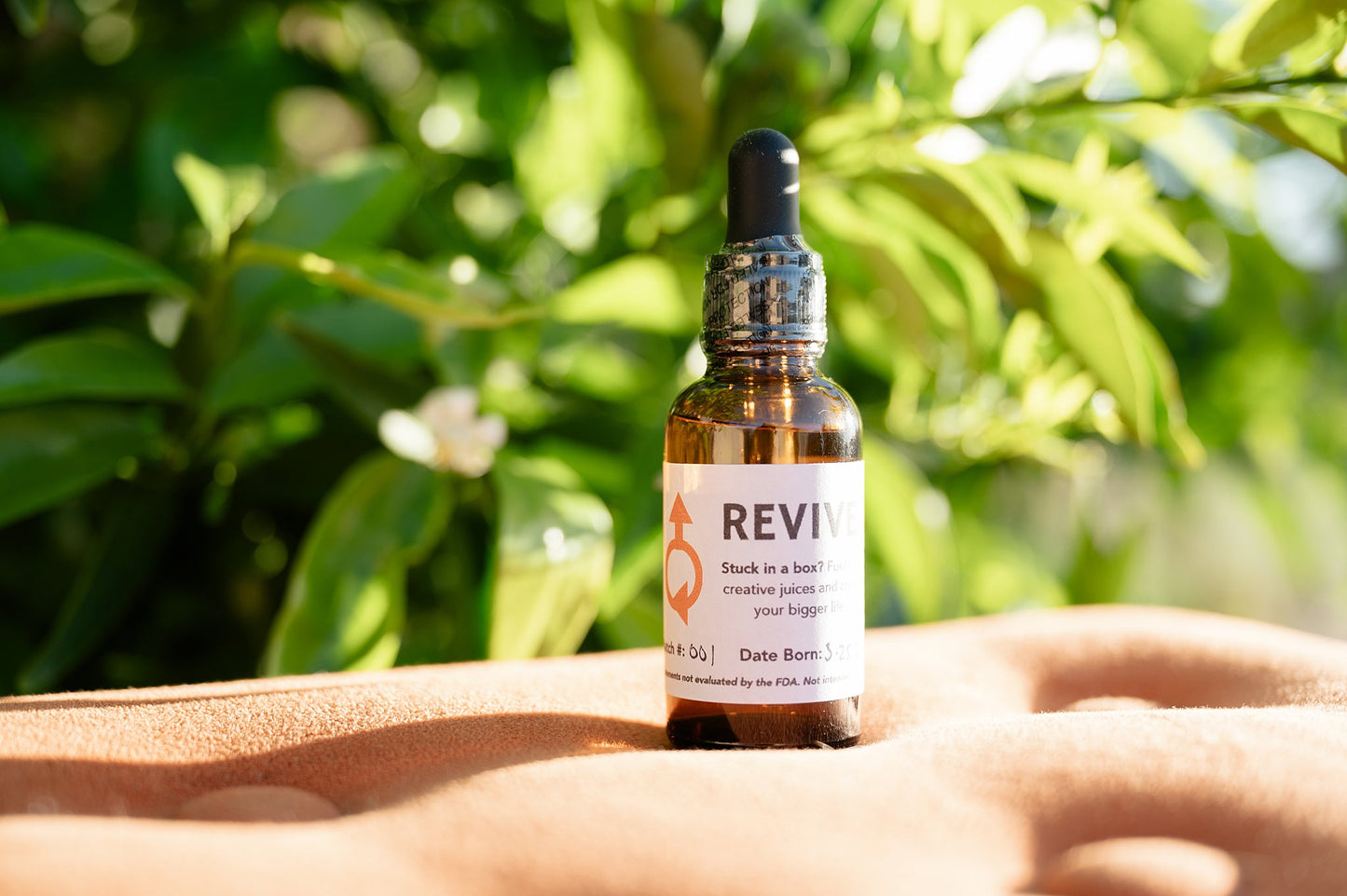 REVIVE Energy Alignment Flower Essence (1 oz)