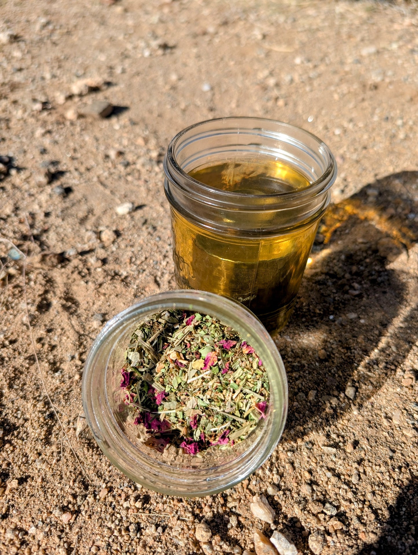 A shimmering green-yellow cup of tea in a mason jar on the desert sand in the sun with a mason jar of loose leaf tea leaning up against it with green plants and rose petals.