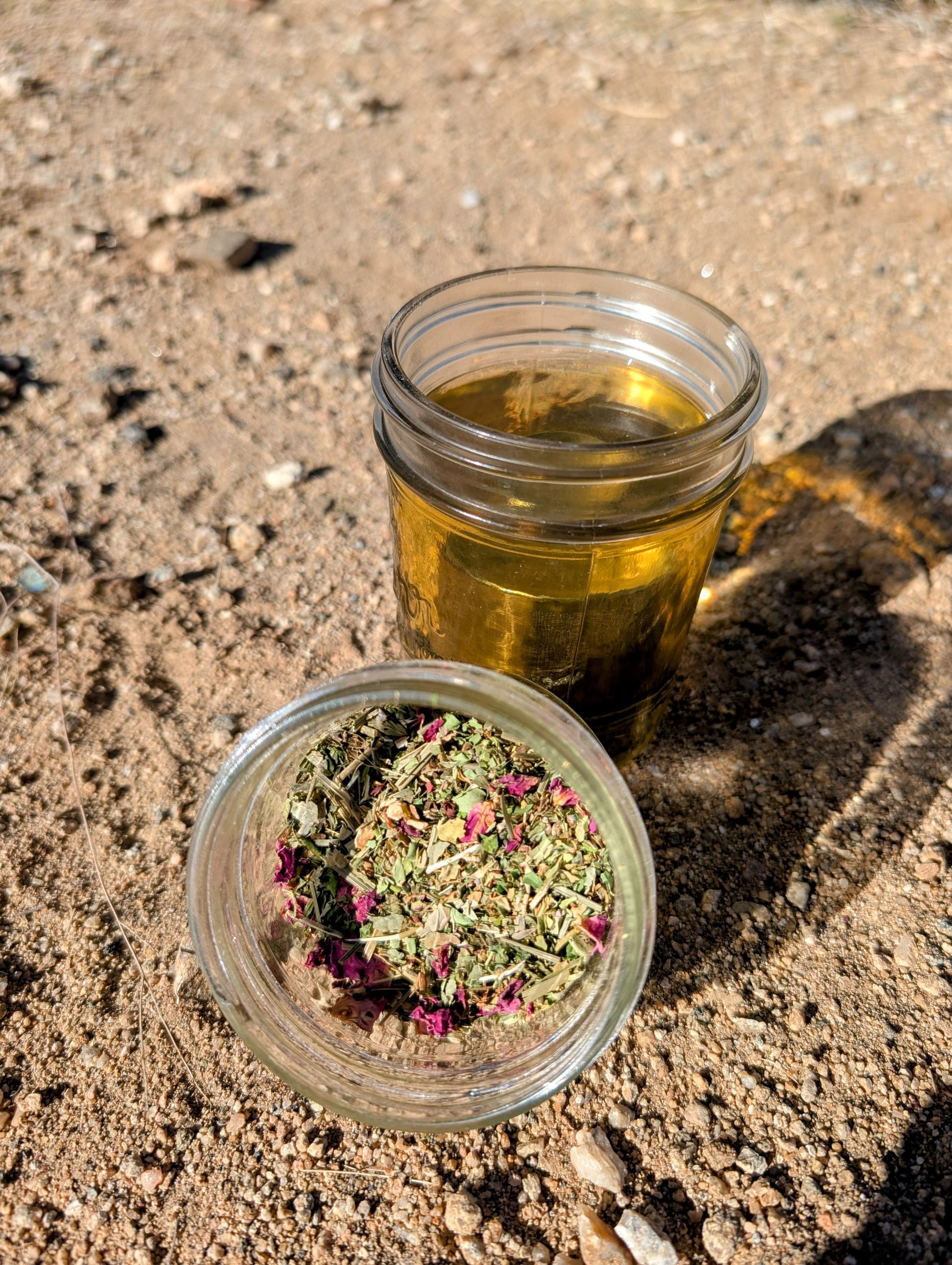 A shimmering green-yellow cup of tea in a mason jar on the desert sand in the sun with a mason jar of loose leaf tea leaning up against it with green plants and rose petals.